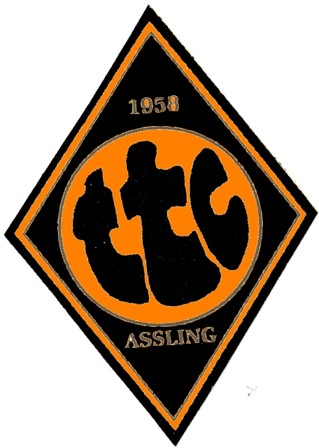 Vereinswappen TTC Aling